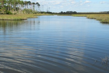 Fototapeta premium Beautiful view on the rivers and marshes of North Florida nature