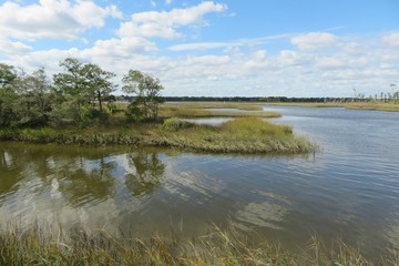 Beautiful view on the marshes and rivers of North Florida nature