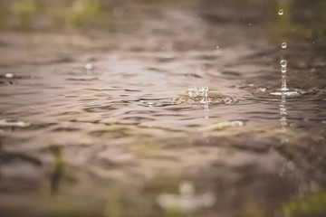 green grass and water