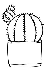 Beautiful cactus in a pot. Hand-drawn illustration on a white background. For design.