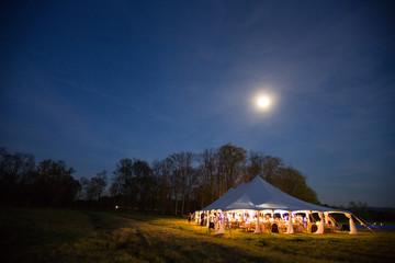 Party Under the Moon © Dan