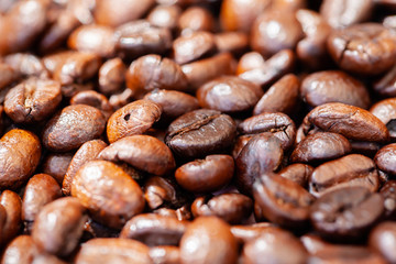 Close up coffee bean background