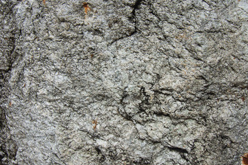.The texture of the old concrete wall for the background