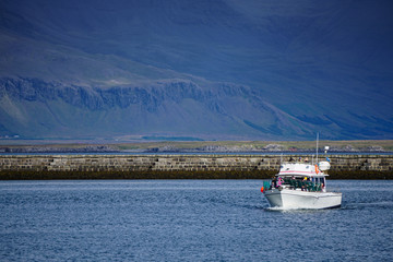 Mountains and harbor