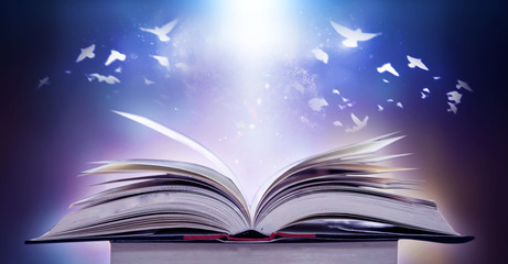 The concept of education of knowledge in the opening of the old book in the library, along with the magical magic that flew out of the book to the goal of success in the classroom.