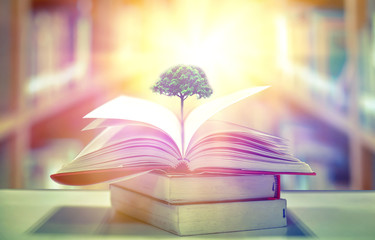 education concept with tree of knowledge planting on opening old big book in library with textbook, stack piles of text archive and aisle of bookshelves in school study class room 