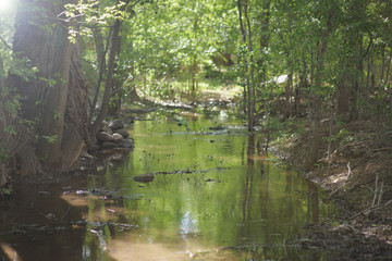 Obraz premium Water Stream