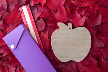 Back to school, pencil/pen box, wood ruler, wood apple, on a bed of red fall leaves