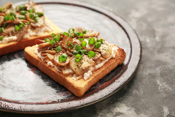 Plate with tasty sandwiches on grey background, closeup