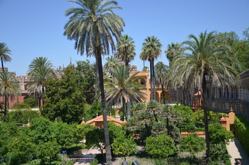 Fototapeta na wymiar Seville gardens