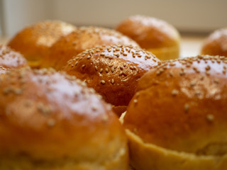 Burger Buns