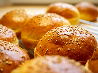 Burger Buns