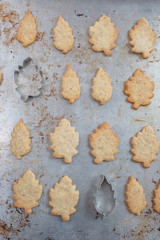 autumn leaves and home made autumn cookies