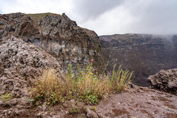 Fototapeta na wymiar vesuv mountain crater view, neapel, italy