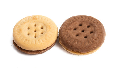 double chocolate chip cookie isolated