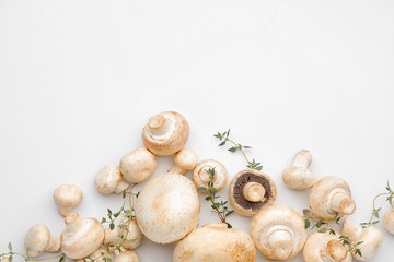 Fresh mushrooms on white background
