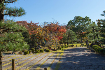 京都府長岡京市の勝龍寺城の本丸の紅葉の風景です