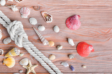 Beautiful sea shells and rope on wooden background