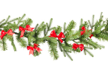 Beautiful Christmas tree branch on white background