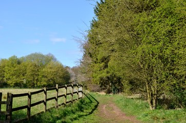 Fototapeta premium path in the park
