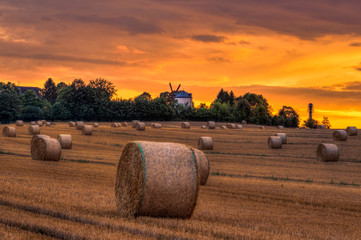Sunset at harvest time at windmill Syrau
