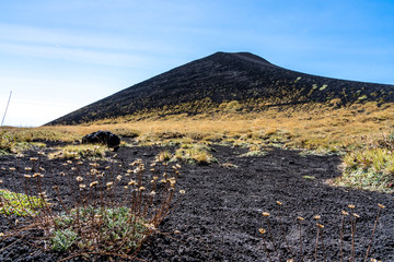 grasland in desert on etna volcano near messina on sicily island, italy
