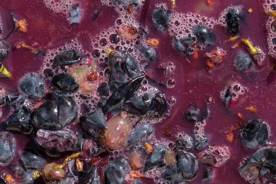 Wine material, grape juice - must, stum, maun. Technology of wine production in Moldova. The folk tradition of making wine. The ancient tradition of grape processing.