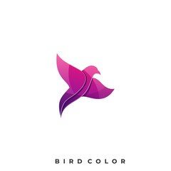 Modern Bird Colorful Illustration Vector Template