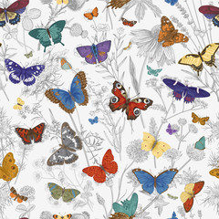 Naklejki  ..Butterflies and wild flowers. Seamless pattern. Vector vintage classic illustration. Colorful