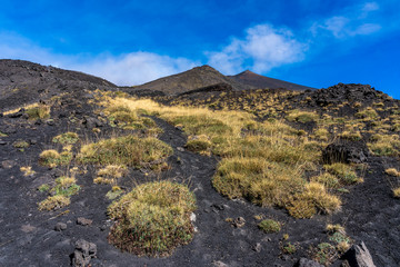 grasland in desert on etna volcano near messina on sicily island, italy