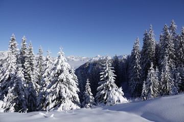 Fototapeta na wymiar beautiful view to the snow capped mountains and alps in austria with snowed in trees