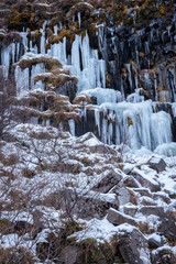 The Black Fall (Svartifoss Waterfall) in Skaftafell National park in winter time at Iceland.