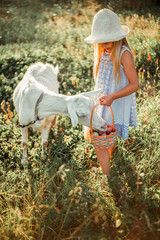  Little cute girl blonde feeds a goat on a farm from a basket. A girl in a dress and hat 6 years old feeds a pet with plums.