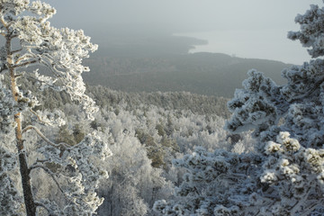 Trees covered with rime and a lake in the distance, a winter landscape from the top of the...