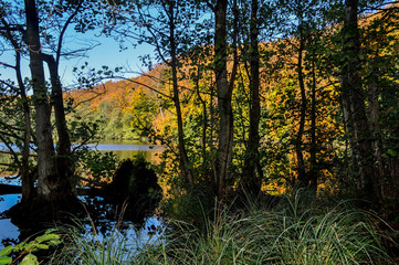 Herthasee im Nationalpark Jasmund, Insel Rügen