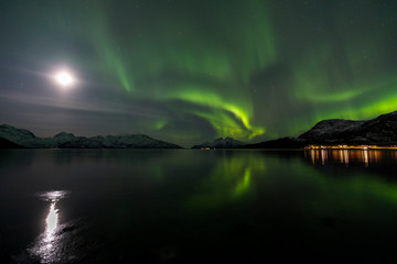 Nordlicht im Fjord