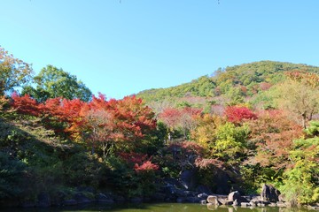 秋　空　池　風景　紅葉　杤木