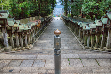 Road to the temple