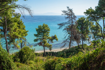 Fototapeta na wymiar Beautiful cunny landscape. Aerial view of green trees, sandy beach, blue sea water and clear sky. Scenic Greece nature. Horizontal color photography.