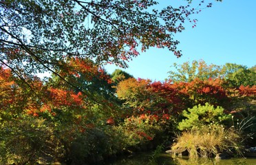 秋　空　池　風景　紅葉　杤木