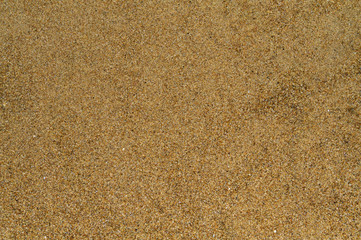 Fototapeta na wymiar sea sand isolated on beach, sea sand structure background, texture