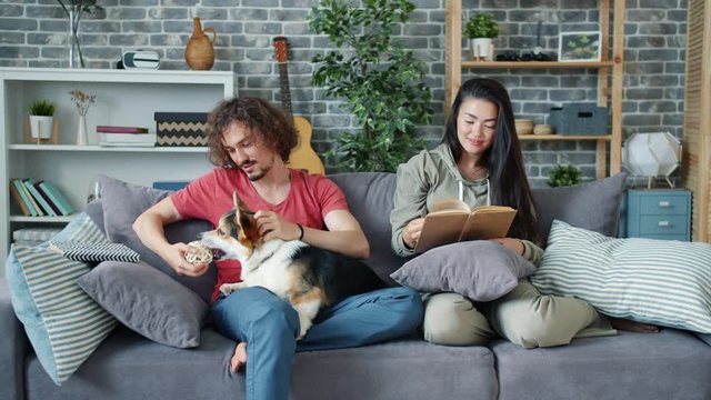 Husband handsome guy is playing with funny corgi dog while wife is reading book relaxing at home on couch. Animals, lifestyle and family life concept.