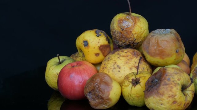 Multicolored rotten spoiled ripened apples on black background