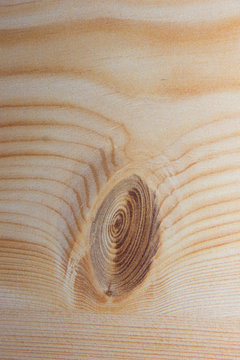 Texture of natural wood, pale in color with a place of sucka