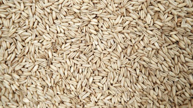 Oat seeds as natural food background. Top view. Healthy diet organic nutrition