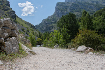 Road in mountains picos de europa, Spain.