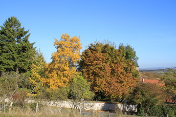 Obraz premium Paysage meusien