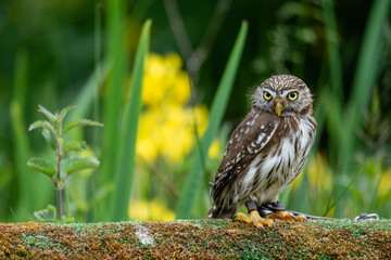 Are you looking at me??