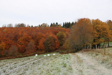 Landschaft mit Strohballen im November in zauberhafte Natur