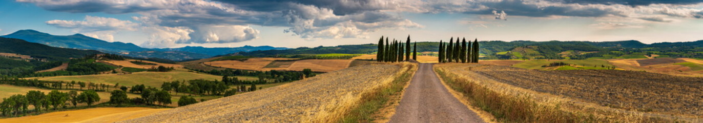 Fototapeta na wymiar Beautiful Tuscany landscape panorama with cypress trees, road and mountain 